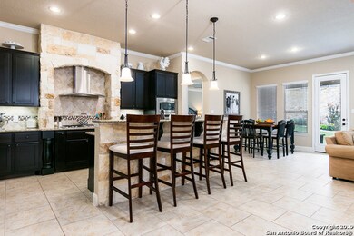 3839 Ox-Eye Daisy, San Antonio, TX 78261 - photo 6