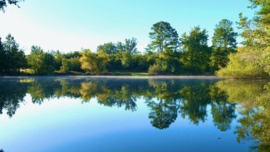 537 Millbrook Dr, Pittsboro, NC 27312 - photo 3