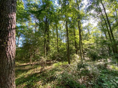 ParceL A S, Taylorsville, MS 39168 - photo 7