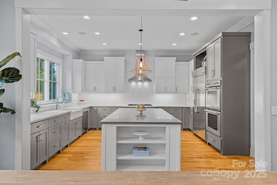 624 James Alexander Way, Davidson, NC 28036 - photo 2