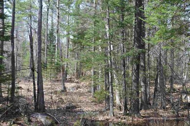 0 Gilman Point Rd unit 4945877, Moultonborough, NH 03254 - photo 4