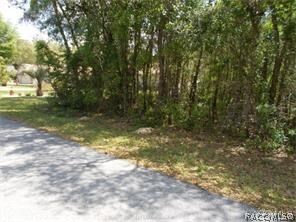 unlisted-address, Hernando, FL 34442 - photo 5