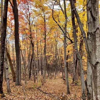 2 CROWN RIDGE Berry Farm Rd, Staunton, VA - photo 7
