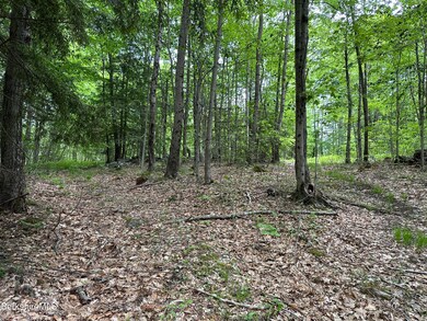 IMG_9663