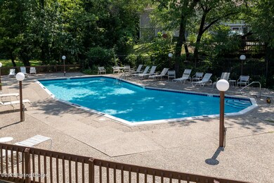 302 Crescent Spring Dr unit 1L, Louisville, KY 40206 - photo 4