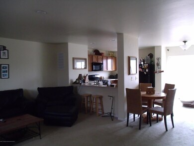 Living room and kitchen