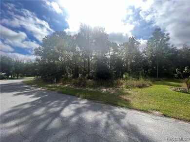 2 Primula Ct W, Homosassa, FL 34446 - photo 7