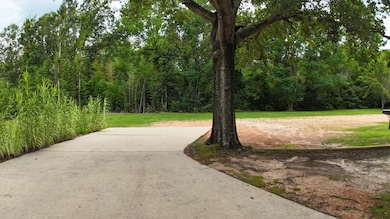 12866 Highway 43, Grove Hill, AL 36451 - photo 6