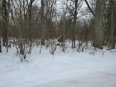 0 Vl 12 Mile Rd, Bitely, MI 49309 - photo 2