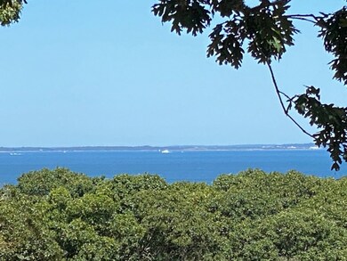 Zoomed view from lot