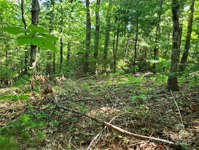 00 Staton Ridge Rd, Saluda, NC 28773 - photo 7