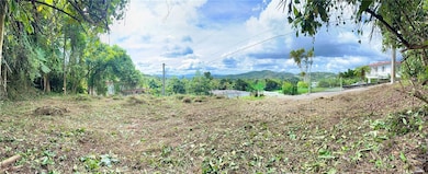 0 Calle Pineros, Cayey, PR 00736 - photo 2