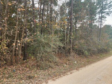 Lot 1 Yupon Branch Ln, Plantersville, TX 77363 - photo 3
