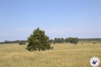 TBD Mc 10 & 268, Fouke, AR 71854 - photo 2