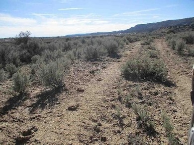 0 Cubita - Cuba Mesa Rd unit 1044806, Cuba, NM 87013 - photo 4