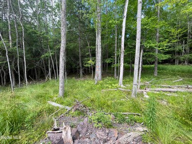 TBD Boulder Brook Rd unit Lot 14, Windham, NY 12496 - photo 3