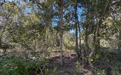 0 SW Bozeman Ct unit 129011, Lake City, FL 32024 - photo 4