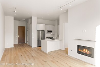 101 Willits Way unit 202, Basalt, CO 81621 - photo 5