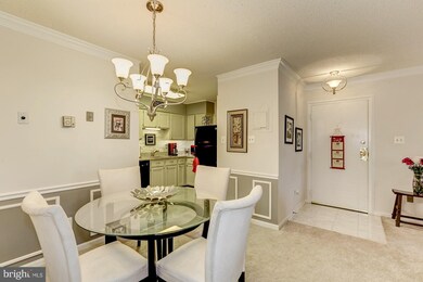 3123 Patrick Henry Dr unit 322, Falls Church, VA 22044 - photo 3