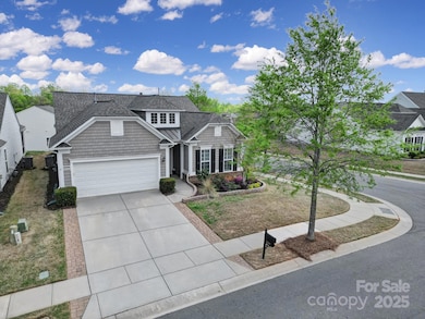 20202 Dovekie Ln, Indian Land, SC 29707 - photo 3