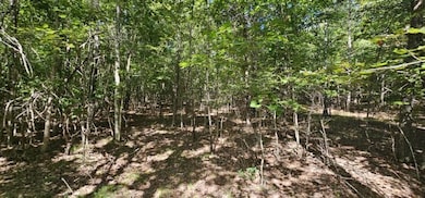 Lot 327 Two Lake Trail, Dunlap, TN 37327 - photo 4