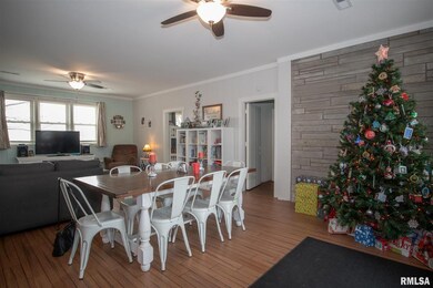 139 Knox Highway 31, Galesburg, IL 61401 - photo 4