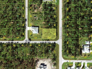 17526 Cage Rd, Port Charlotte, FL 33948 - photo 2