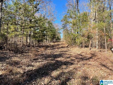 8924 Pine Mountain Rd, Pinson, AL 35126 - photo 5