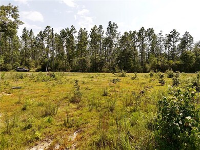 View of nature