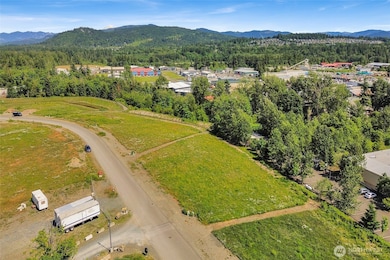 4122 Iron Gate Rd, Bellingham, WA 98226 - photo 4