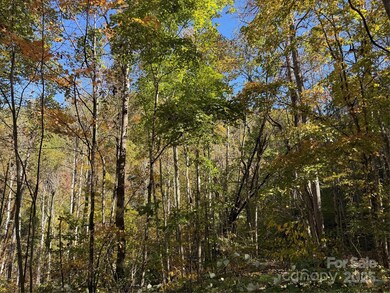 3440 Hamburg Rd, Mars Hill, NC 28754 - photo 6