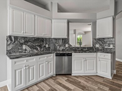 10024 Coldwater Loop, Land O Lakes, FL 34638 - photo 5