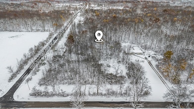 17285 Williamsville St, Cassopolis, MI 49031 - photo 7