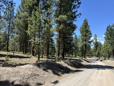 0 Sprague River unit 3007651, Chiloquin, OR 97624 - photo 7