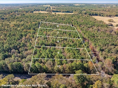 Lot 3 Creek Bend Trail, Troup, TX 75789 - photo 5