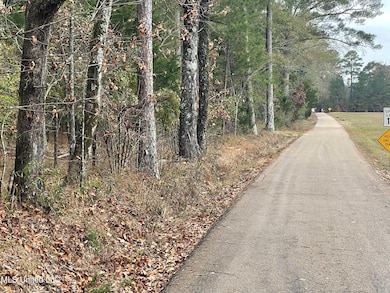 No Old Fannin Rd, Jackson, MS 39232 - photo 6