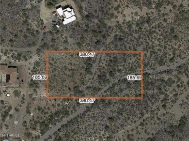 FIg Springs Lot Aerial copy