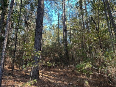 0 Lomas Rd, Hattiesburg, MS 39401 - photo 5