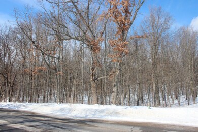 6761 E 104th St, Newaygo, MI 49337 - photo 2