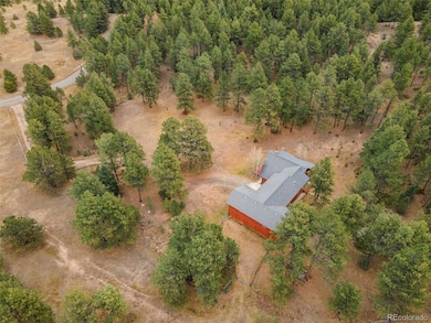 20202 Spring Creek Trail, Buffalo Creek, CO 80425 - photo 2