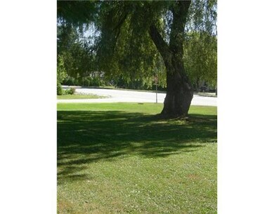 Yard/Garden.