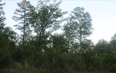 0, Ellijay, GA 30540 - photo 4