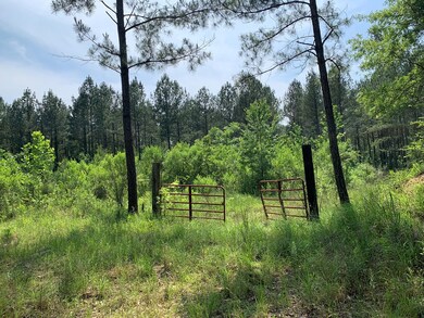 . Athens Trail Ne Timberlane Rd NE, Wesson, MS 39191 - photo 6