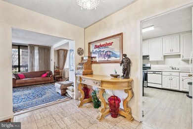 Skyline Plaza unit 115S, Baileys Crossroads, VA 22041 - photo 5