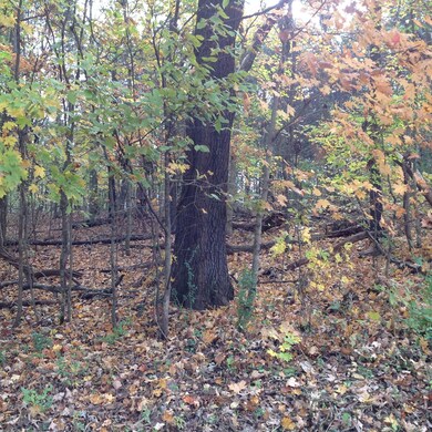 147 Inagehi Way, Loudon, TN 37774 - photo 2