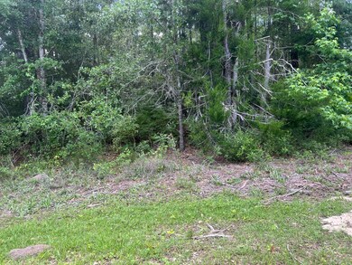 3 acres Bob Sikes Rd, Defuniak Springs, FL 32435 - photo 4