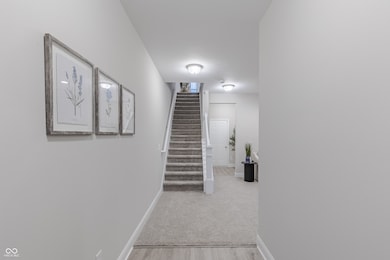 REPRESENTATIVE PHOTO