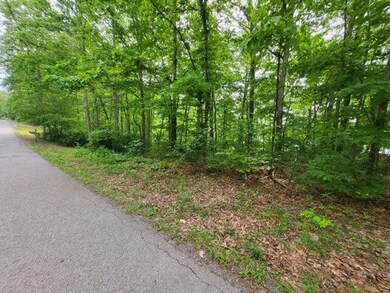 0 Fawn Cir unit RTC2528653, Dunlap, TN 37327 - photo 4