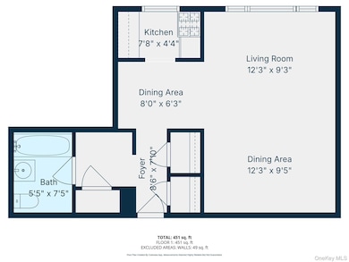 The Blackstone unit 7F, Bronx, NY 10463 - photo 7