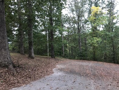 4210/4211 Serenity Ln, Nixa, MO 65714 - photo 3